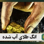 انگ طلای آب شده