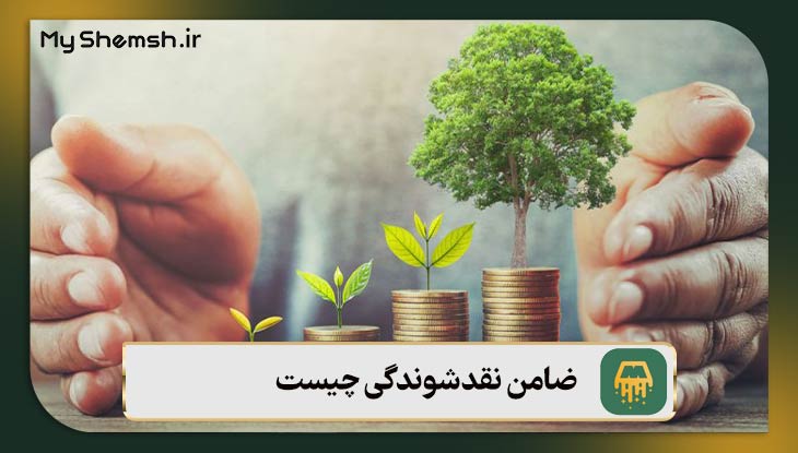 ضامن نقدشوندگی
